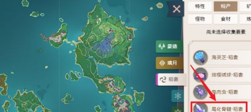 《原神》晶化骨髓详细解析